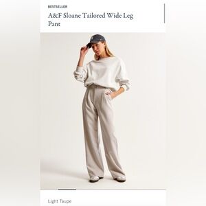 Abercrombie & Fitch Sloane Tailored Wide Leg Pants 24 SHORT - Light Taupe
